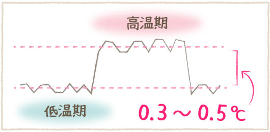 医師監修 基礎体温の正しい測り方と表の見方 ザクロ屋